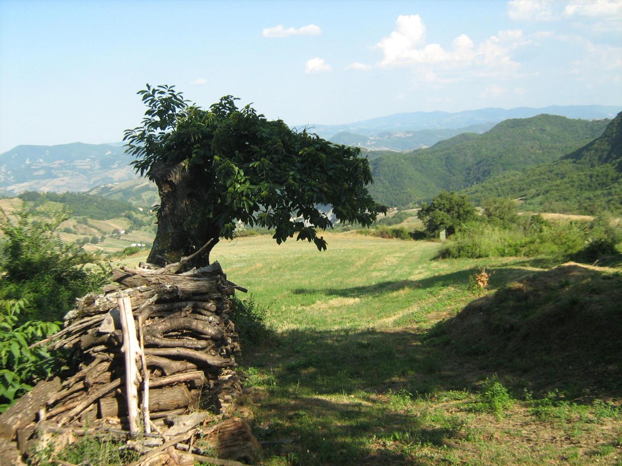 Willa La Piana Dei Castagni Castel dʼAiano Zewnętrze zdjęcie